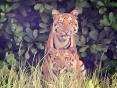 sundarban baidya travels