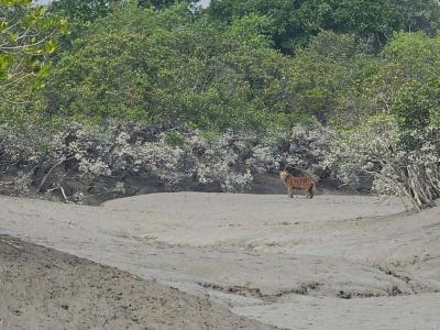 sundarban baidya travels